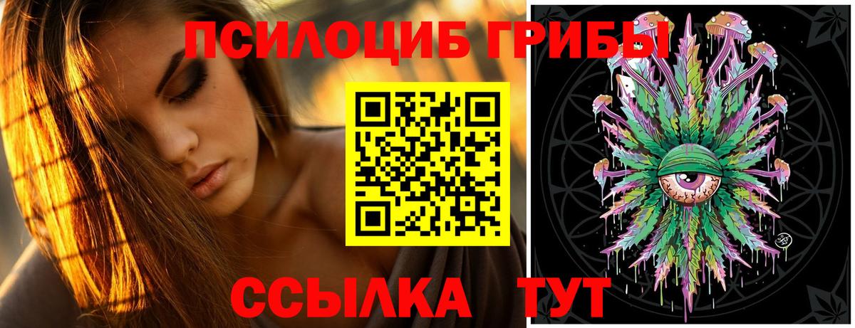 хочу наркоту  Вход с VPN  Михайловка  Псилоцибиновые грибы GOLDEN TEACHER  Галлюциногенные грибы ЛСД 